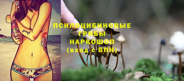 соль ск Заволжск
