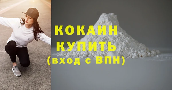 эйфоретик Ельня
