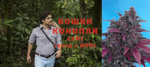 мяу мяу мука Елабуга