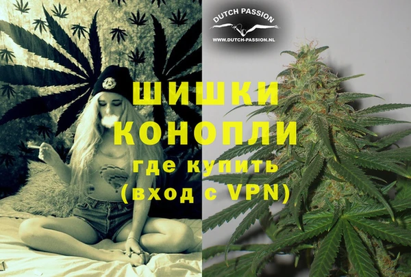 прущие грибы Карпинск