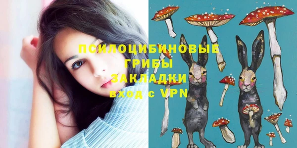 мдпв Касимов