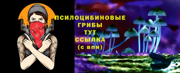 мдпв Касимов